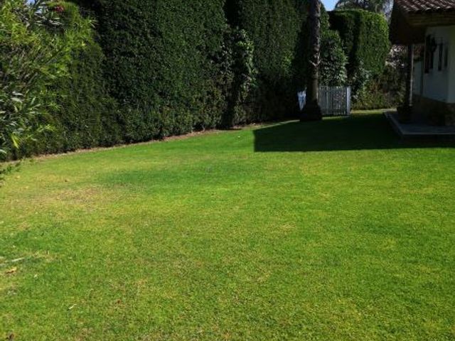 place photo 40
