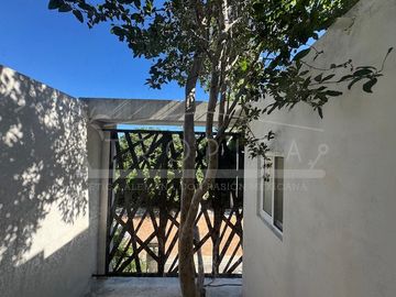 place photo 76