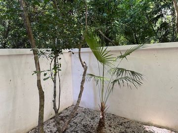 place photo 123