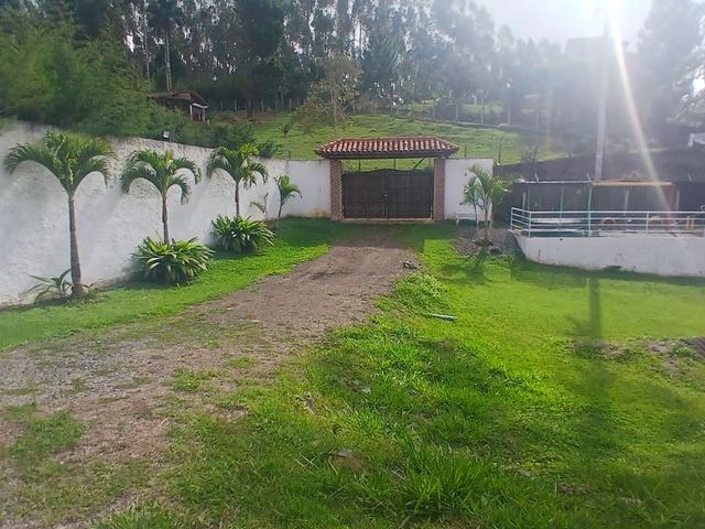 place photo 48