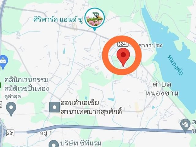 place photo 14