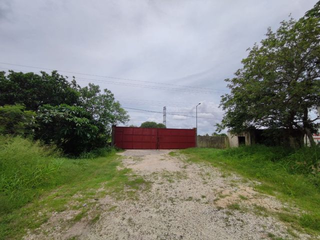 place photo 7