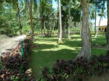 place photo 14