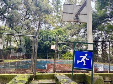 place photo 41