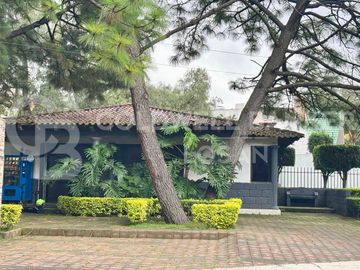 place photo 44