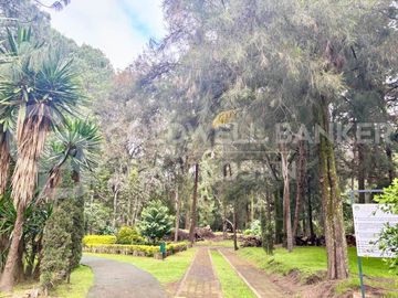 place photo 47