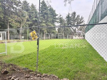 place photo 48