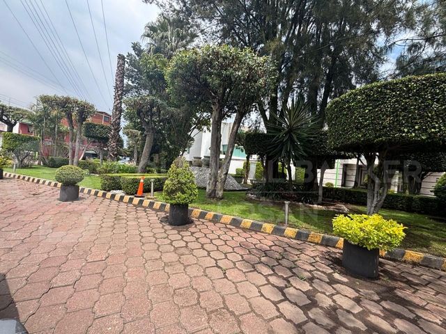place photo 49