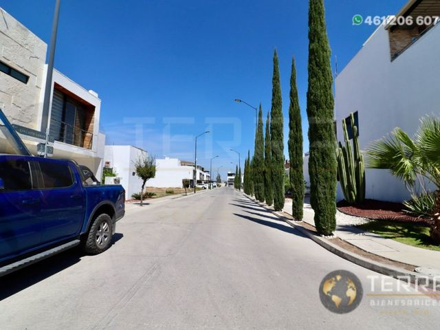 place photo 37