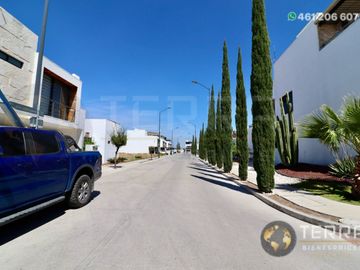 place photo 37