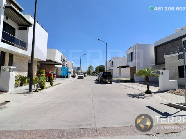 place photo 39