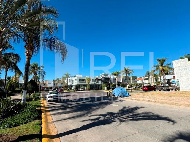 place photo 27
