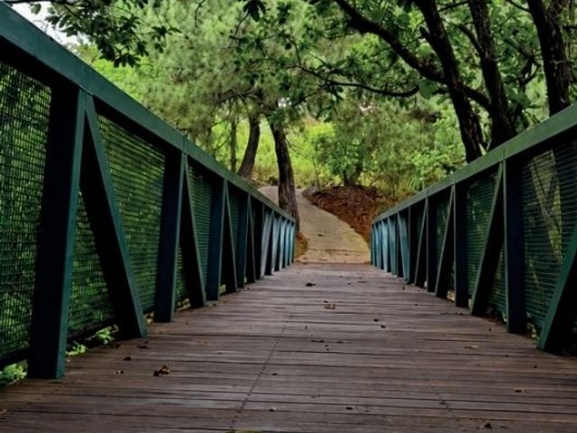 place photo 37