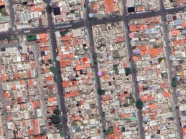 place photo 7