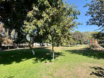 place photo 37