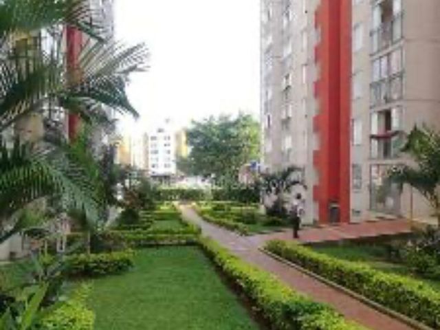 place photo 50