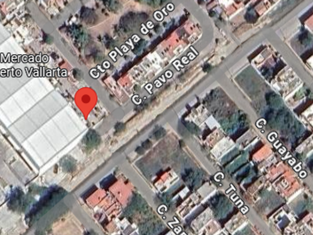 place photo 4