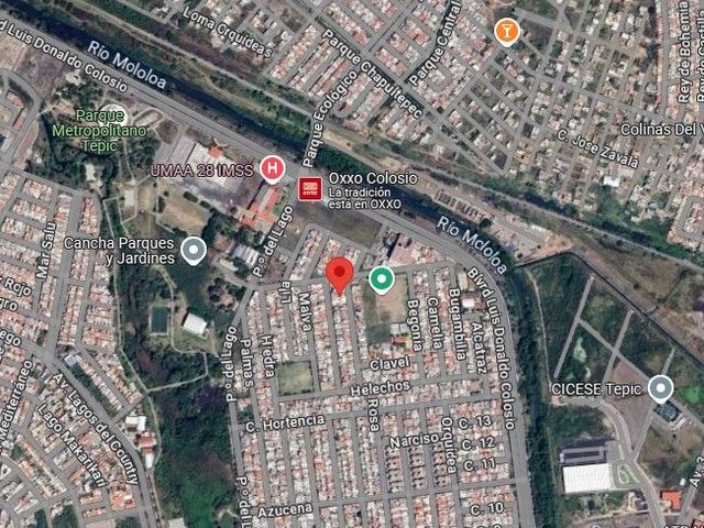 place photo 7
