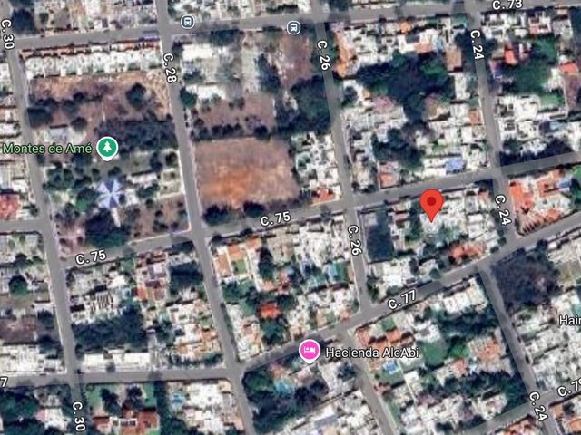 place photo 4