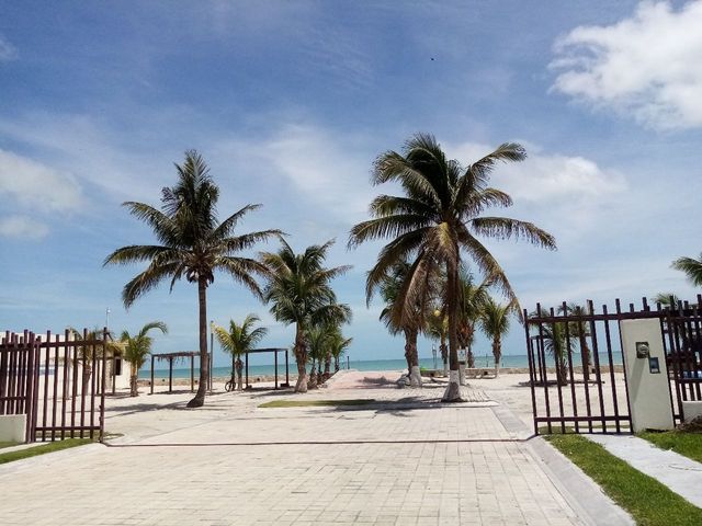 place photo 22