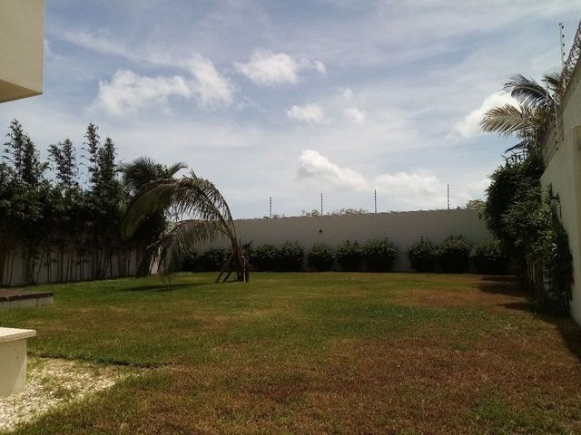 place photo 24