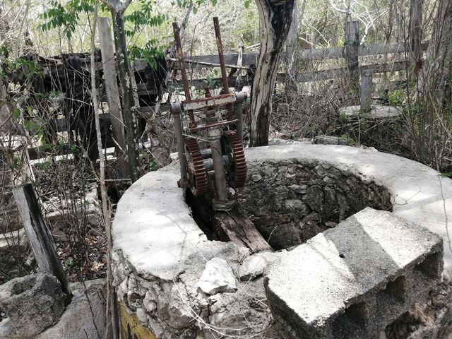 place photo 15