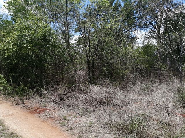 place photo 23