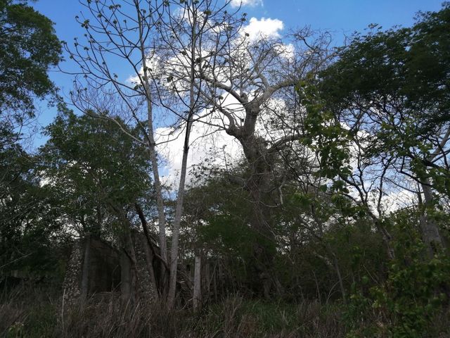 place photo 25