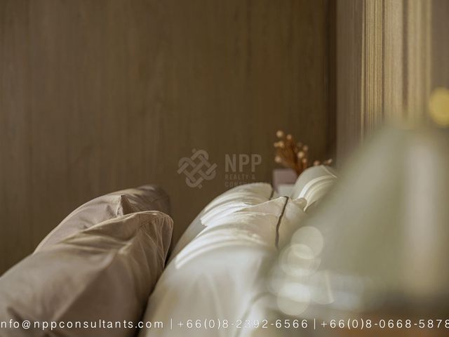 place photo 61