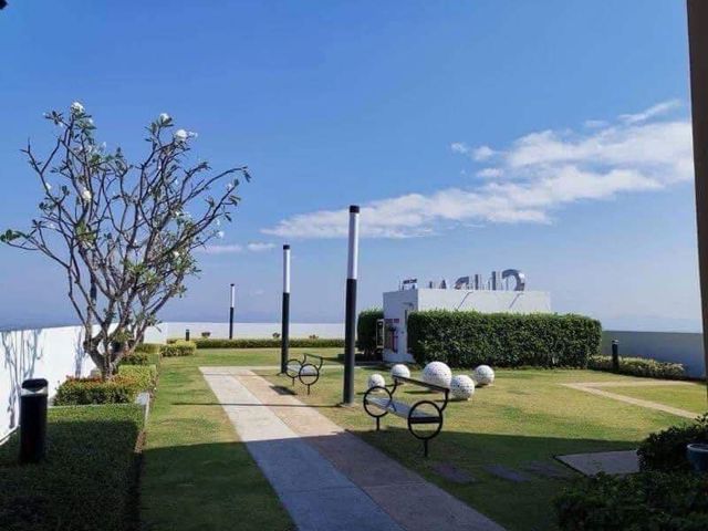 place photo 15