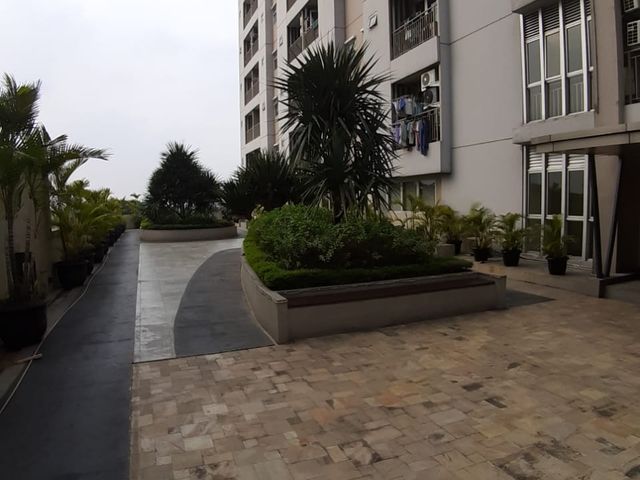 place photo 20