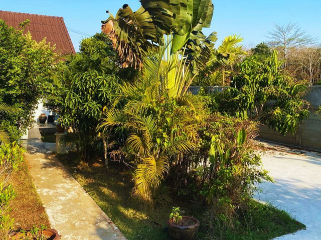 place photo 40
