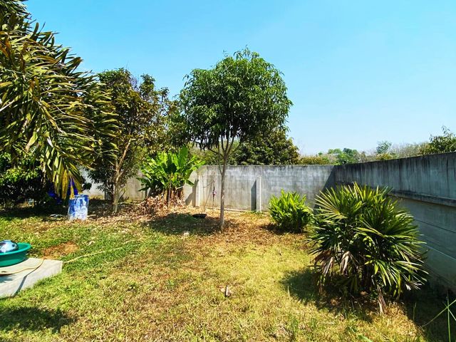 place photo 47