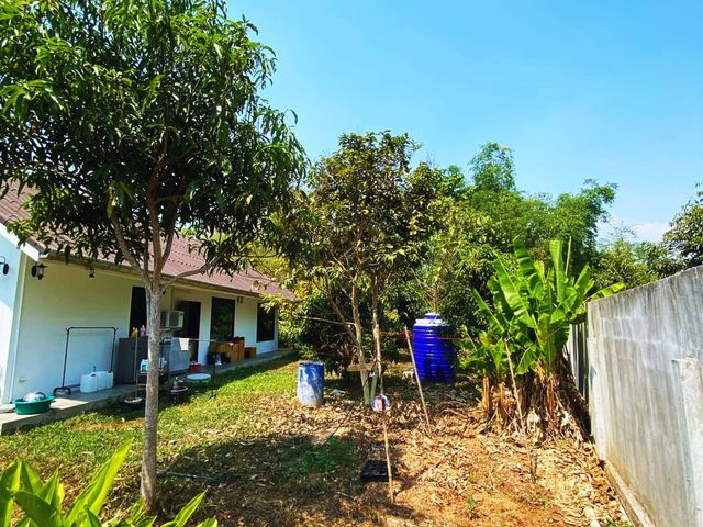 place photo 48