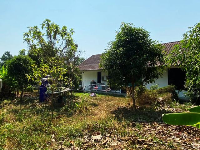 place photo 49