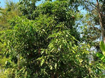 place photo 54
