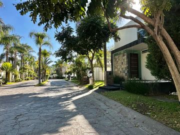 place photo 37