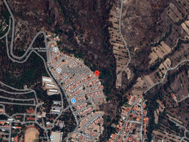 place photo 26