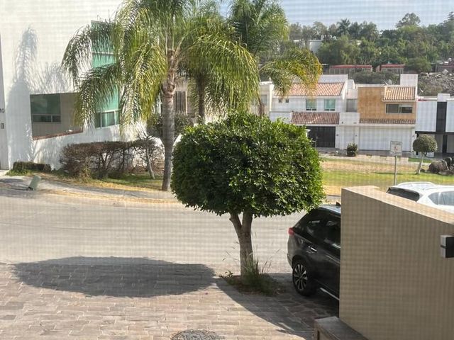 place photo 46