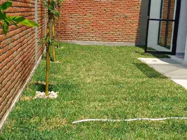 place photo 23