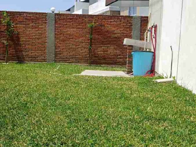 place photo 25