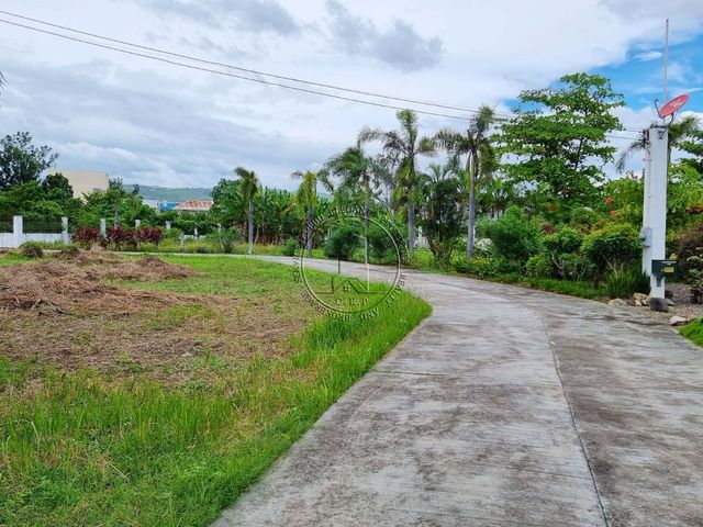 place photo 28