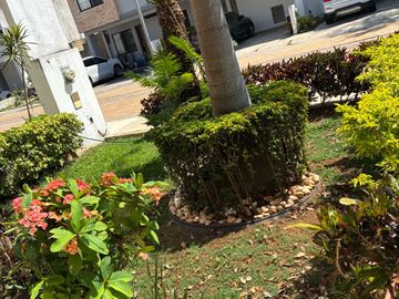 place photo 22