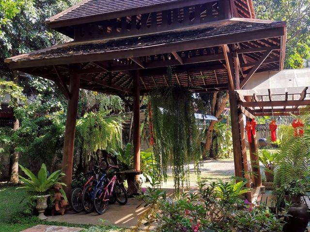 place photo 40