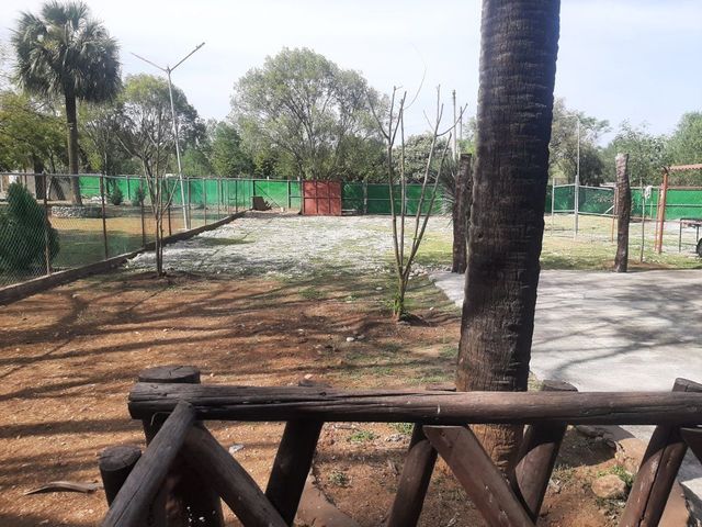 place photo 33
