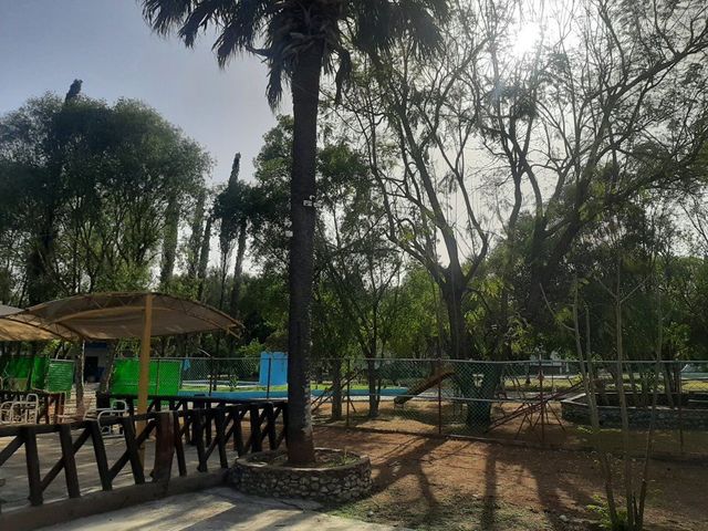 place photo 38