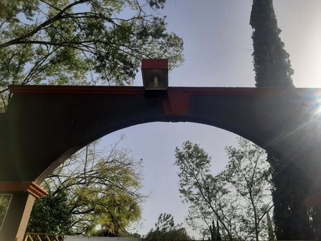 place photo 40