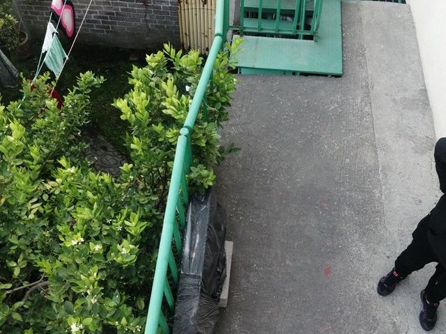 place photo 37