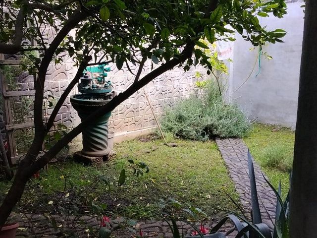 place photo 32
