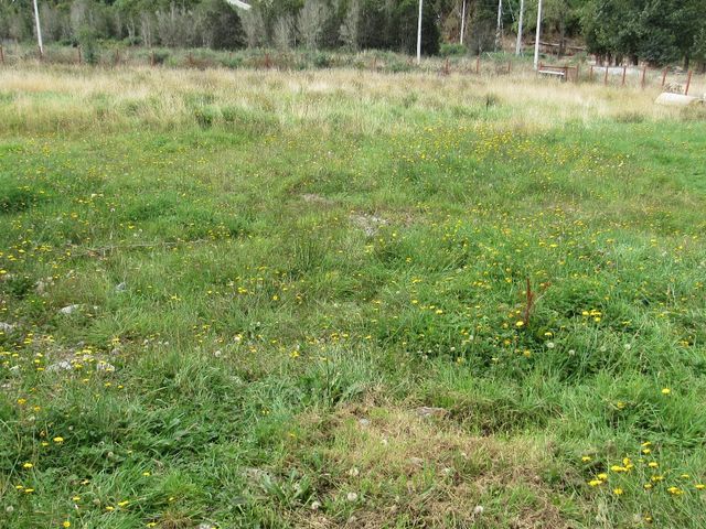 place photo 45